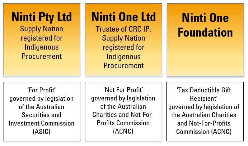 Ninti One company structure